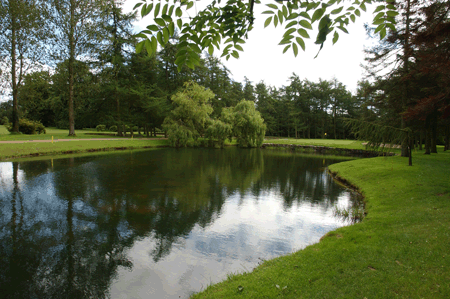 image of golf club